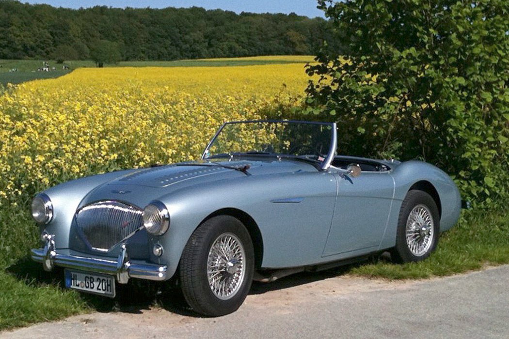 46: Austin-Healey 100