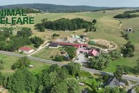 Na Statku Zaoral začíná dobrý sýr u krávy, která se volně pase na louce