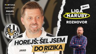 Horejš: „Plzní jsem se nezabýval, ale bylo hezké to slyšet.“ Je Hradec na Daridovi závislý? Horejš: „Plzní jsem se nezabýval, ale bylo hezké to slyšet.“ Je Hradec na Daridovi závislý?