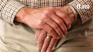 „Penzijku“ chybí selský rozum i odvaha. Nejúčinnější nástroj Česko ignoruje „Penzijku“ chybí selský rozum i odvaha. Nejúčinnější nástroj Česko ignoruje