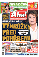 Deník Aha! 17.4.2024