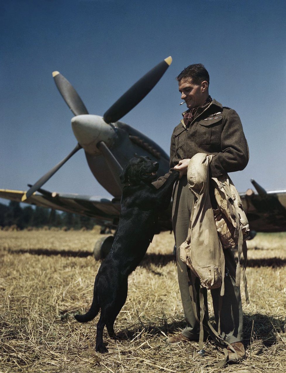 Červenec 1944, špičkový britský stíhací pilot James Johnson u svého letadla Spitfire se svým psem Sally. Vyfoceno ve francouzské Normandii.