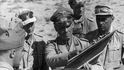Rommel v Africe