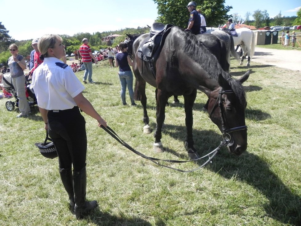 Na mezinárodním policejním mistrovství v jezdectví v Brně se představilo několik desítek koní a jezdců.