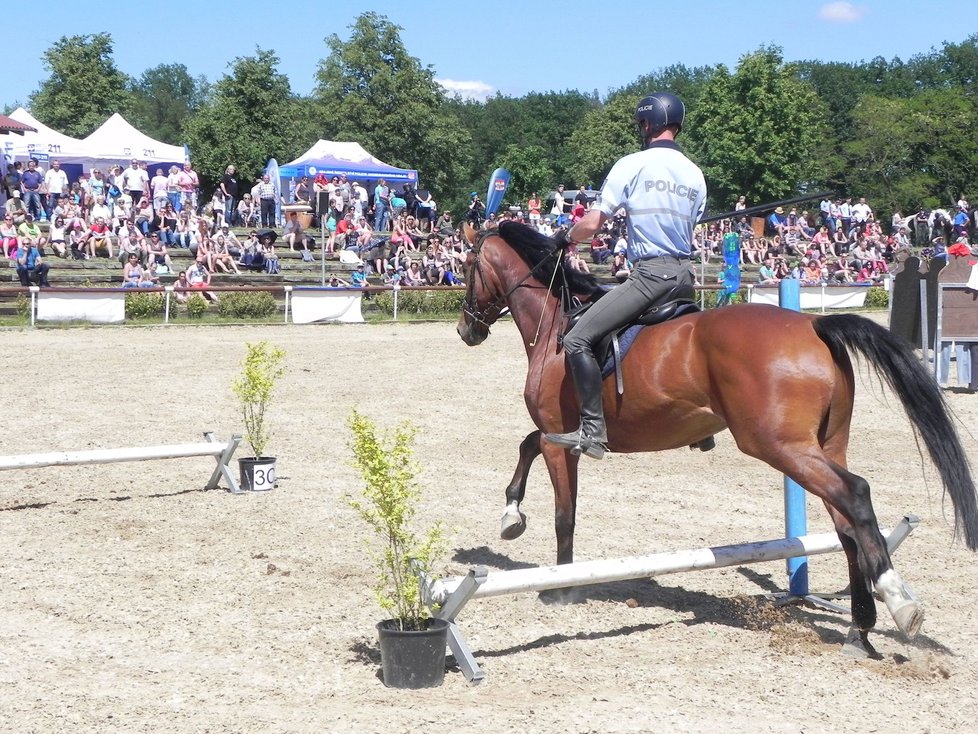 Na mezinárodním policejním mistrovství v jezdectví v Brně se představilo několik desítek koní a jezdců.