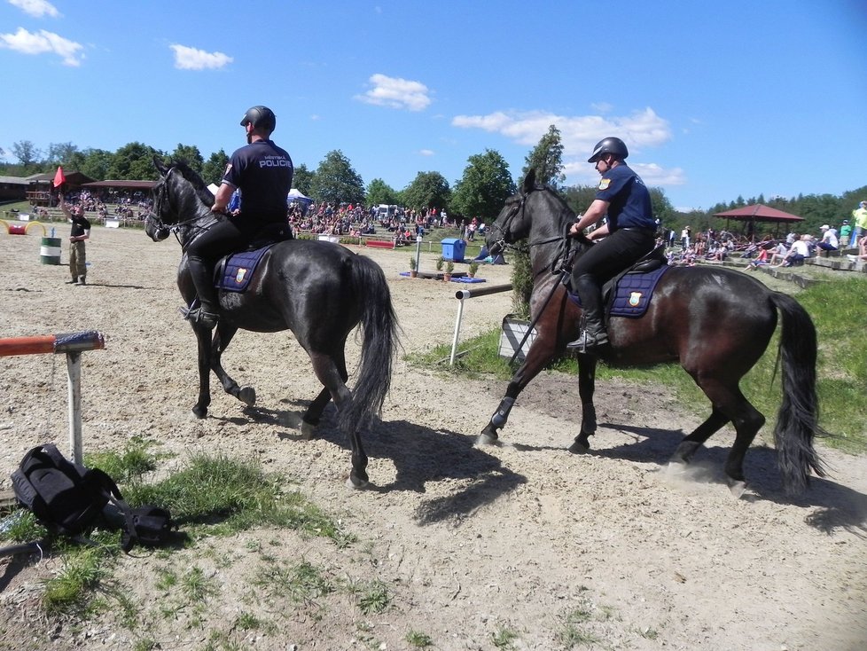 Na mezinárodním policejním mistrovství v jezdectví v Brně se představilo několik desítek koní a jezdců.