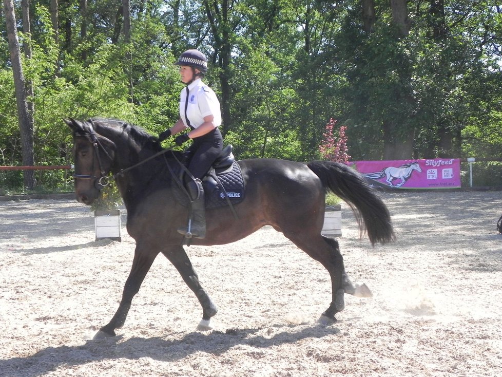 Na mezinárodním policejním mistrovství v jezdectví v Brně se představilo několik desítek koní a jezdců.