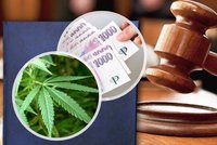 Velká změna trestního zákoníku: Od roku 2026 konec vězení za alimenty i marihuanu