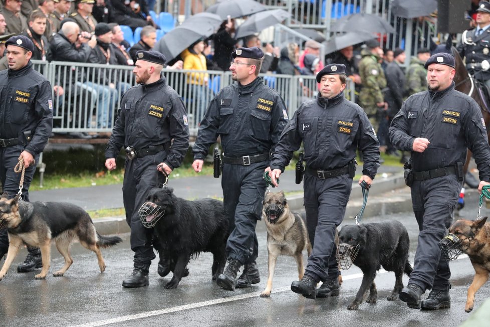 V policejní části přehlídky nechyběli policisté-kynologové nebo policisté na koních, kteří uzavírají tuto část