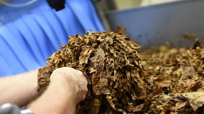 Nová zpracovna tabáku Philip Morris Nová zpracovna tabáku Philip Morris