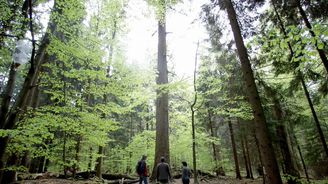 Průzkum: Spokojenost Čechů s péčí státu o životní prostředí vzrostla Průzkum: Spokojenost Čechů s péčí státu o životní prostředí vzrostla