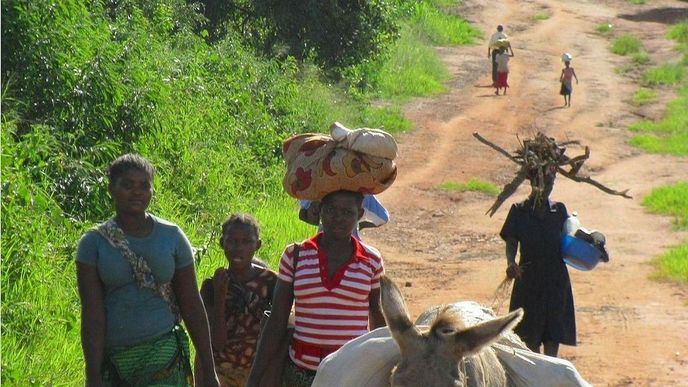 Mozambik, ilustrační foto Mozambik, ilustrační foto