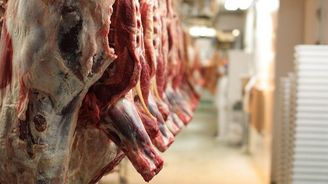 Jurečka chce jednat o úpravách halal a košer porážek zvířat Jurečka chce jednat o úpravách halal a košer porážek zvířat