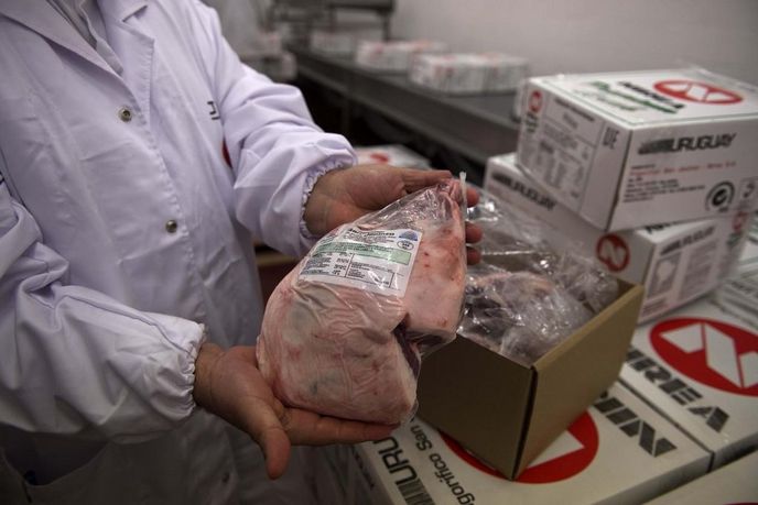 Uruguay patří mezi největší vývozce masa na světě Uruguay patří mezi největší vývozce masa na světě