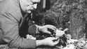 Jiří Trnka při práci na loutkové scéně Jiří Trnka při práci na loutkové scéně