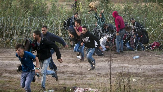 Migranti na srbsko-maďarské hranici Migranti na srbsko-maďarské hranici