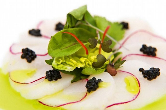 Sashimi z mušlí sv. Jakuba s koriandrovým olejem a lanýžovým kaviárem Sashimi z mušlí sv. Jakuba s koriandrovým olejem a lanýžovým kaviárem