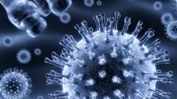Virus HIV Virus HIV