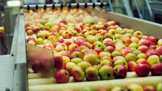 Výroba cideru. Výroba cideru.