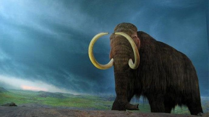 ilustrační foto ilustrační foto