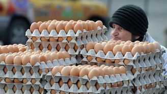 Němci omezili prodej vajec. Může za to české křečkování Němci omezili prodej vajec. Může za to české křečkování