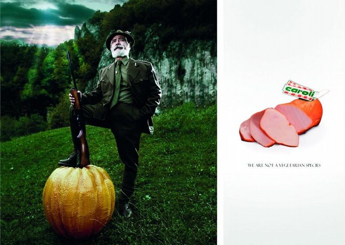 Botanova kampaň Botanova kampaň