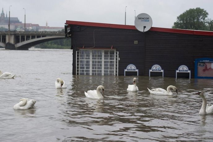 Zaplavená Praha Zaplavená Praha