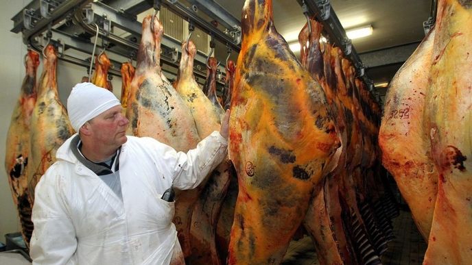 V některých regionech Francie je konzumace koňského masa běžná, v Británii a Irsku nález koniny v potravinách vyvolal bouři nevole V některých regionech Francie je konzumace koňského masa běžná, v Británii a Irsku nález koniny v potravinách vyvolal bouři nevole