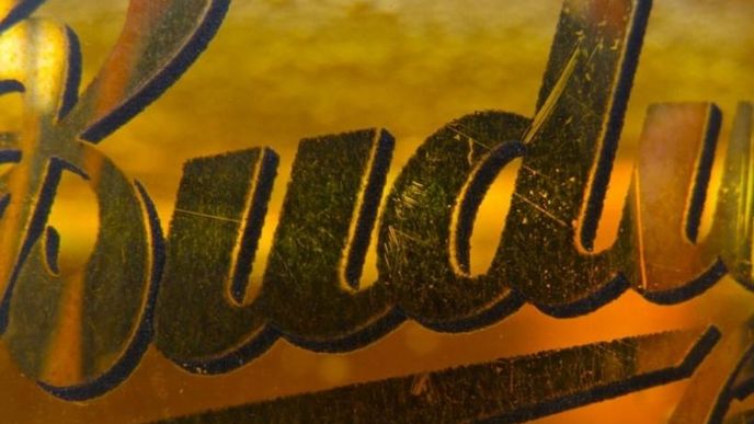 Pivo Budějovický Budvar, ilustrační foto Pivo Budějovický Budvar, ilustrační foto