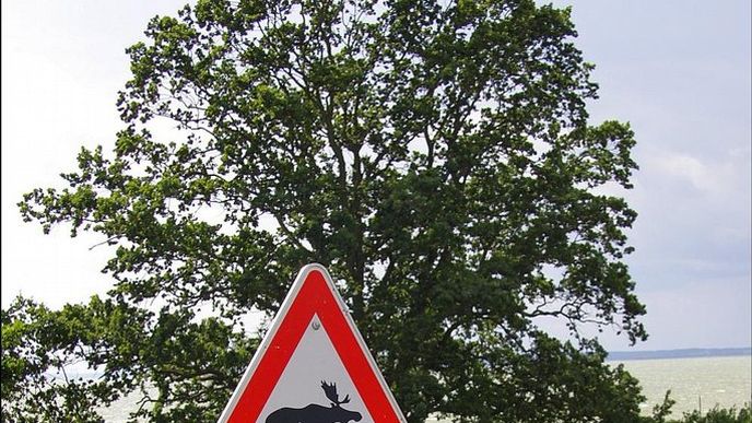 Na severoněmeckém ostrově Usedom už se značky varující před losy objevují Na severoněmeckém ostrově Usedom už se značky varující před losy objevují