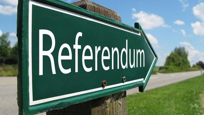 referendum referendum