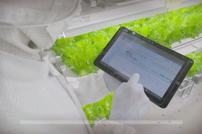 Jak nakrmit téměř 10 miliard lidí? Jak nakrmit téměř 10 miliard lidí?