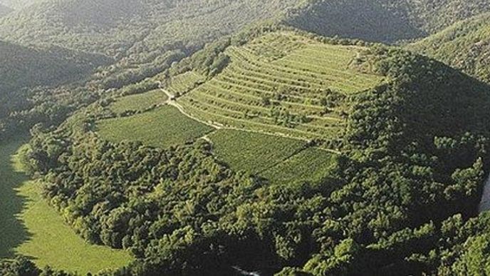 Vinice Šobes Vinice Šobes