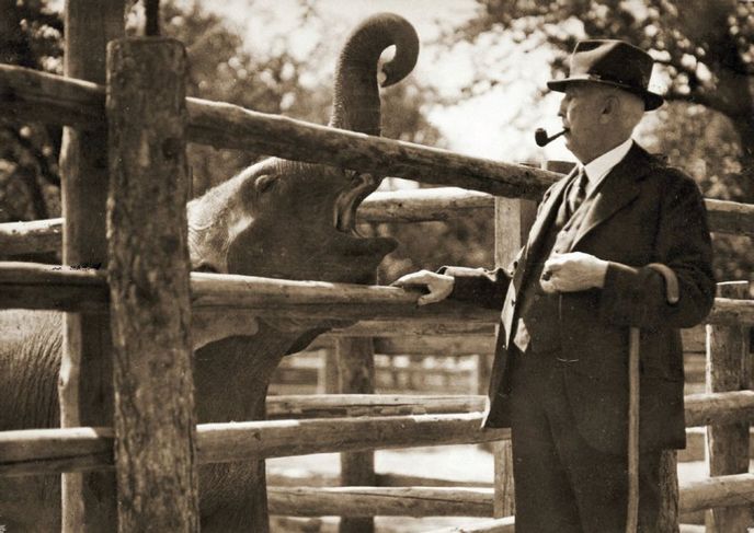 Zoo za starých časů Zoo za starých časů