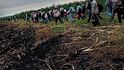 Jsou čtyři ráno, muži nastupují na plantáž. Většina z nich tu stráví celé roky života, s podlomeným zdravím a mizivou nadějí na důchod. Jsou čtyři ráno, muži nastupují na plantáž. Většina z nich tu stráví celé roky života, s podlomeným zdravím a mizivou nadějí na důchod.