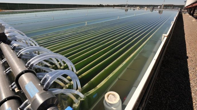 pilotní řasová "farma" společnosti Solix BioSystems v Coloradu pilotní řasová "farma" společnosti Solix BioSystems v Coloradu