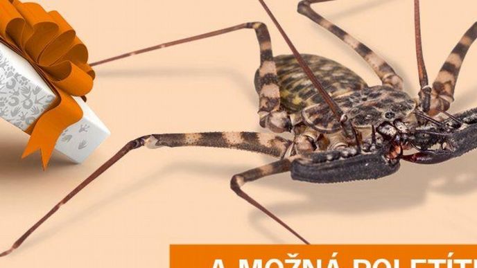 Pražská zoo navazuje na tradici předchozích let a zahajuje další adopční kampaň Pražská zoo navazuje na tradici předchozích let a zahajuje další adopční kampaň