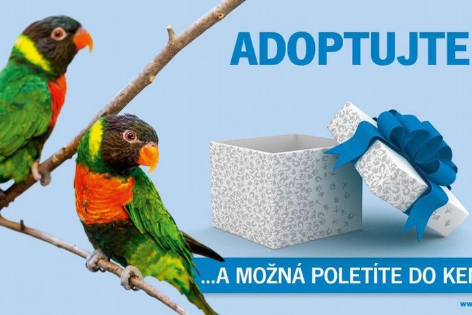 Pražská zoo navazuje na tradici předchozích let a zahajuje další adopční kampaň Pražská zoo navazuje na tradici předchozích let a zahajuje další adopční kampaň