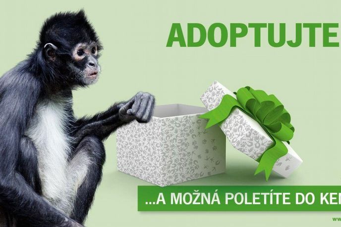 Pražská zoo navazuje na tradici předchozích let a zahajuje další adopční kampaň Pražská zoo navazuje na tradici předchozích let a zahajuje další adopční kampaň