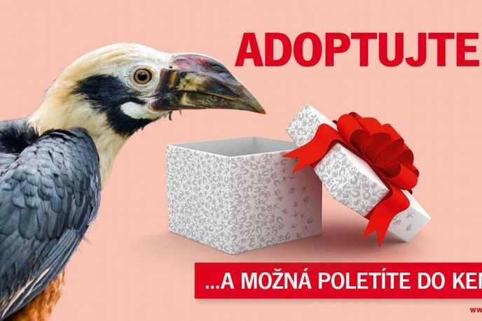 Pražská zoo navazuje na tradici předchozích let a zahajuje další adopční kampaň Pražská zoo navazuje na tradici předchozích let a zahajuje další adopční kampaň