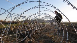 Slovinský hraniční plot zabíjí, může zcela vyhubit některé šelmy