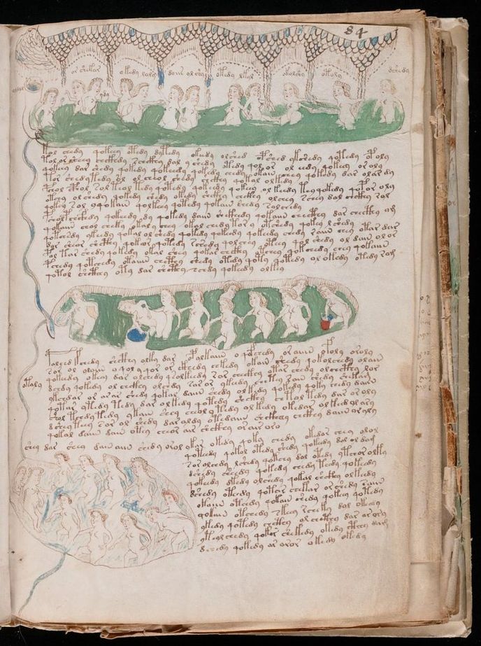 Obsah rukopisu zůstává velkou záhadou. Rostliny, které v něm jsou vymalovány, nebyly nikdy identifikovány, Ani astronomické kresby nebo ilustrace žen nikdy nevydaly svá tajemství. Obsah rukopisu zůstává velkou záhadou. Rostliny, které v něm jsou vymalovány, nebyly nikdy identifikovány, Ani astronomické kresby nebo ilustrace žen nikdy nevydaly svá tajemství.