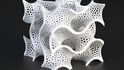 Technologie pro 3D tisk plastů už je poměrně vyvinutá a umožňuje tisk téměř libovolných struktur, mikroskopický tisk biologického materiálu je ale náročnější disciplína