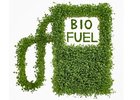 Biopaliva motorům škodí, tvrdí v USA
