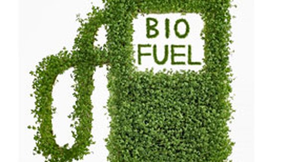 Biopaliva motorům škodí, tvrdí v USA