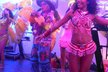 Atmosféru karnevalu v Riu navodily na plese exotické tanečnice a Dan Nekonečný.