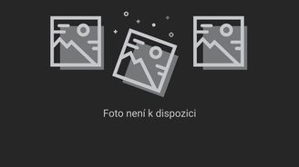 Čtení z ruky: Jakou budoucnost vyvěštíte z čar v dlani? Čtení z ruky: Jakou budoucnost vyvěštíte z čar v dlani?