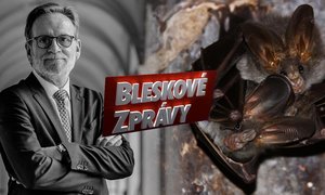 Bleskové zprávy: Smrt diplomata a nová hrozba vztekliny!