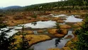 Jedno z nejznámějších jizerskohorských rašelinišť, Na Čihadle, je chráněné od roku 1960. Nachází se v mělkém sedle (975 m) přesně na rozvodí Baltského a Severního moře, z rašeliniště vytéká jeden z přítoků Černého potoka a říčka Jedlová.