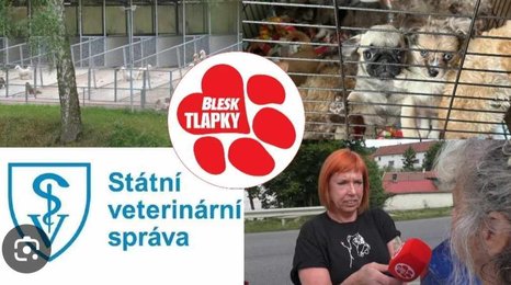 Obří množírna ve Vinařicích: Stovky psů jako hospodářská zvířata! Podle veterinářů v pořádku